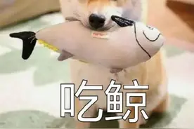 表情包｜嗨起来图片