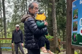 老戏骨元华全家移居国外，70岁抱孙爬山被拍，须发皆白仍健步如飞图片