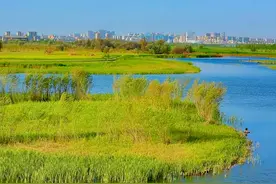 黑河：仅次于塔里木河的中国第二大内流河，滋养张掖酒泉的母亲河图片