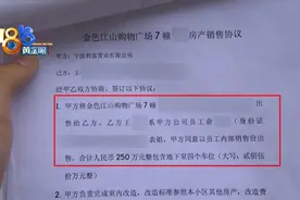 “表姐”提供内部价，开发商也是“受害者”？图片