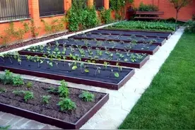 别墅院子种菜有讲究，建议用这3种方法，干净不踩泥，档次也不低图片