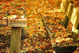 吃早餐发朋友圈的幽默说说，消闲解闷，开心必备图片