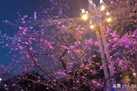 申请宅基地，干部故意拖延不审批怎么办？图片