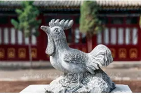 妈妈是属鸡的人，孩子必出个“状元郎”，长大不是老板就是官！图片