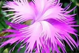 动了心的爱，不再有退路；想你，世人万千我只要你图片