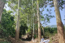 千年古道：汤岭古道，去了还会想再去的地方图片