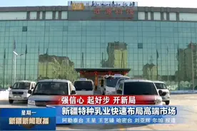 《新疆新闻联播》｜新疆特种乳业快速布局高端市场图片