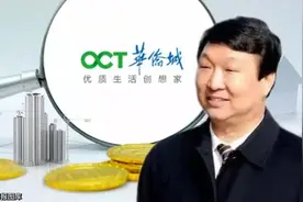 段先念退休 华侨城迎新掌门人张振高图片