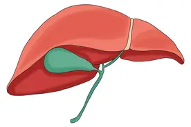 肝在硬化前，身体会出现“3痛2不够”，若你有，快“帮”肝一把图片