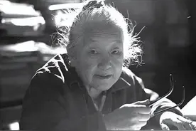 何泽慧：钱三强背后的女人，师从居里夫人，身着地摊货为国捐豪宅图片