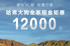 新车 | 哈弗大狗系列推出限时优惠：优惠1.2万元，送12次基础保养图片