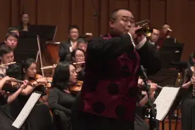 「特别推荐」立春听一曲《百鸟朝凤》，一派生动意境图片