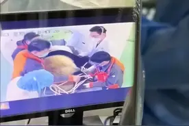 “病人姓名熊猫，性别男”，一张CT单火了，一问竟真是国宝图片