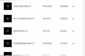 财富中国500强的数字经济公司：19家营收过千亿，2家利润过千亿图片