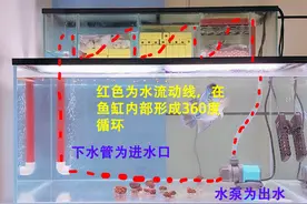 鱼缸进水口和出水口怎么摆放合理图片