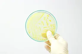 细胞培养的操作步骤图片