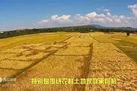 “活人无地、死人有地”，未来三十年农村土地真会成为这样？图片