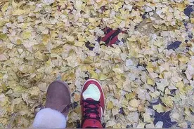 从默默无闻到坚实陪伴，任嘉伦与聂欢的心灵奇遇图片