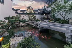 庭院鱼池要做好，这四点得先弄清楚！图片