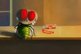 绿豆蝇竟然治愈了伤兵：最肮脏的东西，却能完成最圣洁的“工作”图片