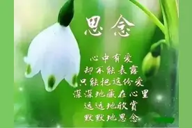 牵挂、问候都是缘，惦记、想念都是情图片