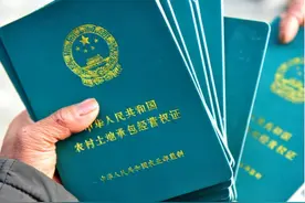 农村承包地和宅基地可以自由买卖？一号文件要求：依法自愿有偿！图片