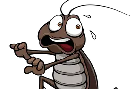 蟑螂也能入药？这个神奇的中成药，不仅能治疗胃病，还有这些妙用图片