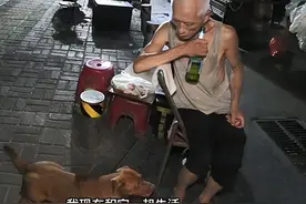 老人凌晨1点摆摊，狗狗每天陪着直到天亮：是家人一般的存在图片