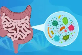 肠道里的细菌决定寿命长短？常吃这类食物可调节肠道，还有助减肥图片