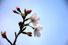 “30年后再相遇成搭伙老伴”62岁的阿姨感叹：有些缘分是注定的图片