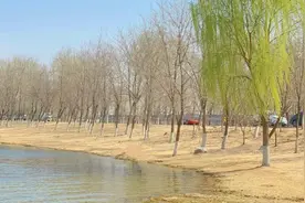 小清河露营图片