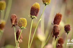 人到晚年，这3件事宁愿烂在肚子里，也不能对子女说，记住了图片