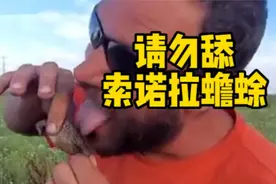 美国人舔蟾蜍成新风潮，癞蛤蟆变为廉价毒品，危害很大快别舔了图片