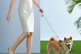 遛狗时佩戴牵引绳，就是给狗狗最好的宠爱图片