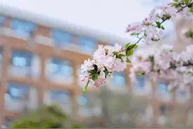 济宁2022年清北录取高中情况，孔子一枝独秀，其它学校泯然众人图片