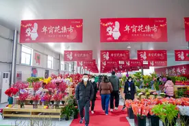 汉口北鲜花小镇迎宾，百万枝云南花卉带来“鲜花自由”图片
