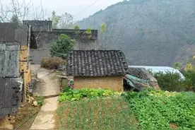 那年我14岁图片