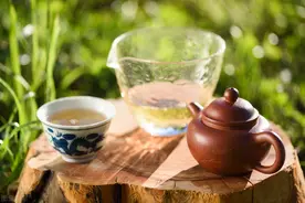 读《素书》：面对跨不过去的坎，人生需要点随机应变图片