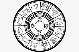 十二生肖中，其中十一种动物是真实存在的，为什么只有龙找不到？图片