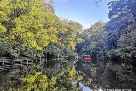 福见三明·女神约惠月 | 赏花泡汤品全宴，半价免费开启浪漫三月约惠游图片