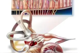 教你一招，抓住眩晕的“七寸”，明确眩晕的真正原因！图片