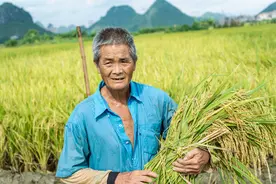 当中国的农民很苦图片