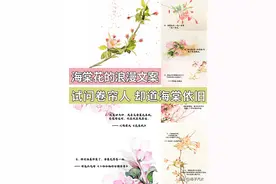 描写海棠花的文案| 试问卷帘人 却道“海棠”依旧图片