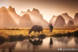 万万没想到身份证换证还有“套路”？图片