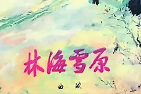 红色经典长篇小说《林海雪原》（14）连载 曲波著图片