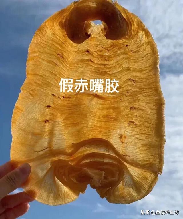 赤嘴鱼胶价格 2026年赤嘴鱼胶价格2024最新价目表 赤嘴鱼胶价格 2026年赤嘴鱼胶价格2024最新价目表