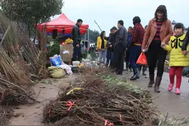 潍坊市坊子区赶集时间表图片