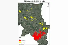 7月3日开始！第二轮飞机施药，涉及福山这些镇街图片