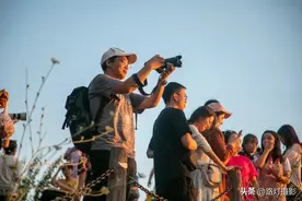 为什么有钱人越来越喜欢“跟团游”？五大好处，很明智！图片