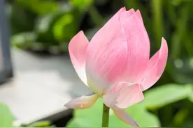 薄情的人，才会如此待你，趁早断交图片